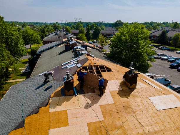 Trusted Storm Damage Roof Repair service in Grand Ridge, IL - Brentwood Metal Roofing